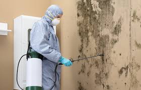 Best Mold Removal for HVAC Installations  in La Joya, TX